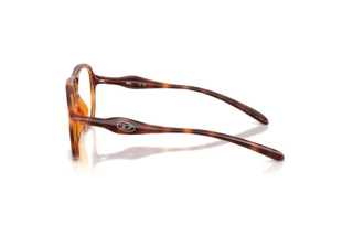 Vedere laterală Diesel DL6008U (2003)