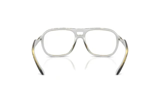 Vedere din spate Diesel DL6008U (2030)