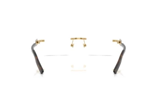 Vista posterior Dolce & Gabbana DG1361 (02)