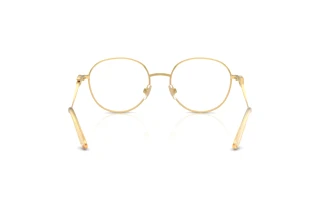 Vedere din spate Dolce & Gabbana DG1365 (02)