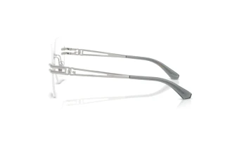 [glasses-side-view] Dolce & Gabbana DG1369 (05)