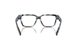 [glasses-back-view] Dolce & Gabbana DG3383 (3392)