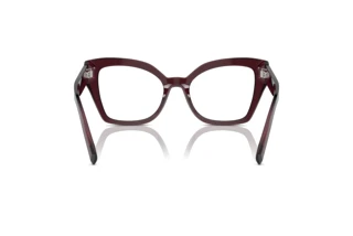 [glasses-back-view] Dolce & Gabbana DG3386 (3045)