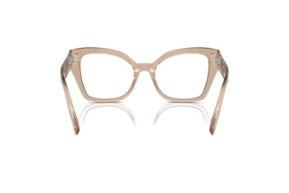 [glasses-back-view] Dolce & Gabbana DG3386 (3432)