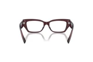 Vy bakifrån Dolce & Gabbana DG3387 (3045)