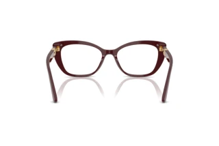 [glasses-back-view] Dolce & Gabbana DG3398 (3091)