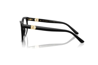 [glasses-side-view] Dolce & Gabbana DG3399 (501)