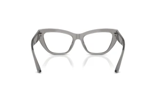 [glasses-back-view] Dolce & Gabbana DG3412 (3160)