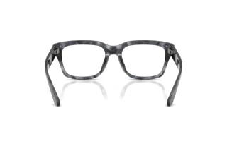 [glasses-back-view] Dolce & Gabbana DG3416 (3445)