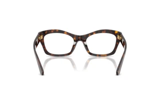 [glasses-back-view] Dolce & Gabbana DG3420 (502)