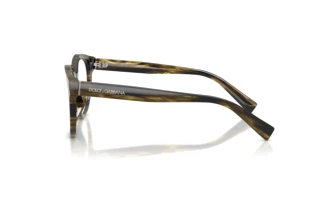 [glasses-side-view] Dolce & Gabbana DG3421 (3066)