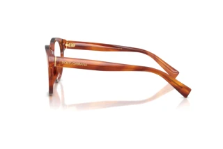 [glasses-side-view] Dolce & Gabbana DG3421 (3221)