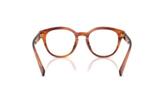 [glasses-back-view] Dolce & Gabbana DG3421 (3221)
