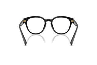 Vista posterior Dolce & Gabbana DG3421 (501)