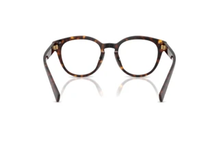 Πίσω όψη Dolce & Gabbana DG3421 (502)