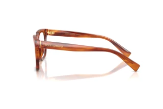 [glasses-side-view] Dolce & Gabbana DG3422 (3221)