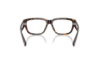 [glasses-back-view] Dolce & Gabbana DG3423 (502)