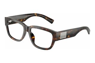 Dolce & Gabbana DG3423 502 Havana