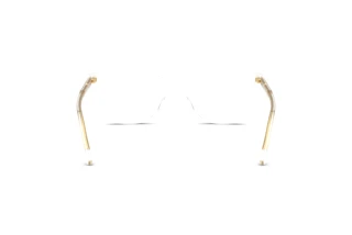 Vista posterior Dolce & Gabbana DG3424 (3133)