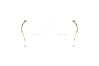 Πίσω όψη Dolce & Gabbana DG3425 (3133)