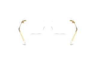 [glasses-back-view] Dolce & Gabbana DG3428 (3133)