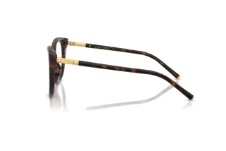 [glasses-side-view] Dolce & Gabbana DG3433 (502)