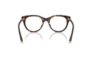 [glasses-back-view] Dolce & Gabbana DG3433 (502)