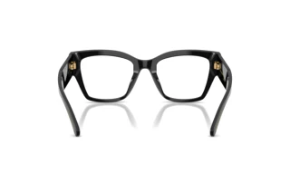 Vedere din spate Dolce & Gabbana DG3435B (501)