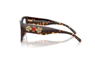 [glasses-side-view] Dolce & Gabbana DG3435B (502)