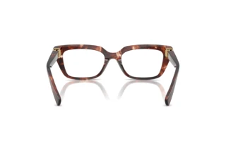 [glasses-back-view] Dolce & Gabbana DG3436 (3222)