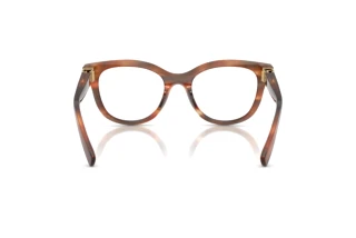 [glasses-back-view] Dolce & Gabbana DG3437 (3221)