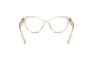 [glasses-back-view] Dolce & Gabbana DG3440 (3420)