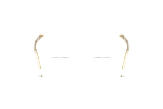 Vista posterior Dolce & Gabbana DG3443 (3133)