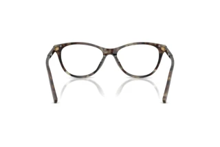 [glasses-back-view] Dolce & Gabbana DG3443 (3478)
