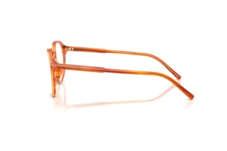 Vedere laterală Dolce & Gabbana DG3444 (3483)