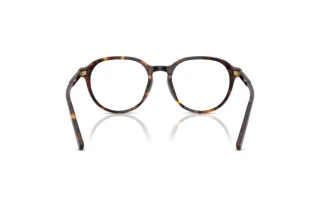 [glasses-back-view] Dolce & Gabbana DG3444 (502)