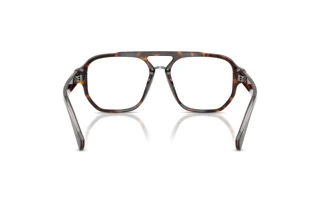 [glasses-back-view] Dolce & Gabbana DG3447 (502)