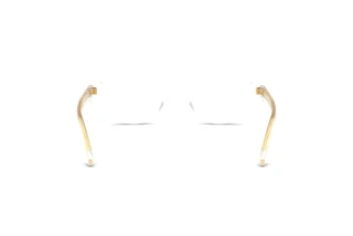 Πίσω όψη Dolce & Gabbana DG3450 (3133)