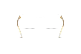 [glasses-back-view] Dolce & Gabbana DG3451 (3133)