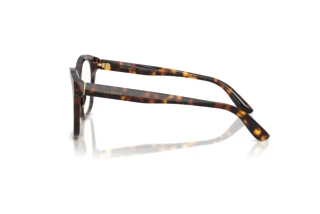 [glasses-side-view] Dolce & Gabbana DG3451 (502)