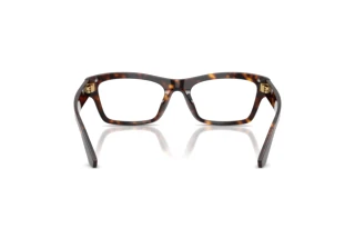 Vy bakifrån Dolce & Gabbana DG3454 (502)