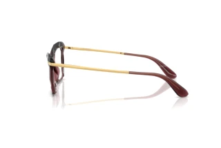 Vista lateral Dolce & Gabbana DG5025 (3045)