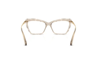 Vista posterior Dolce & Gabbana DG5025 (3432)