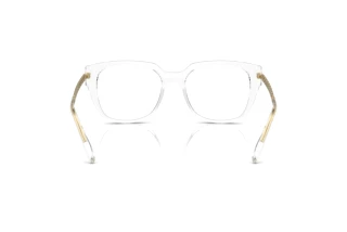 Vista posterior Dolce & Gabbana DG5087 (3133)