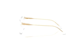 [glasses-side-view] Dolce & Gabbana DX3002 (3133)