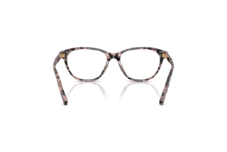 [glasses-back-view] Dolce & Gabbana DX3002 (3476)