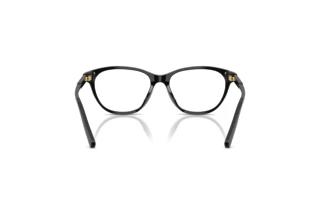 [glasses-back-view] Dolce & Gabbana DX3002 (501)