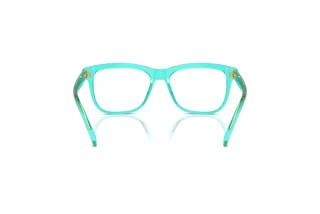 [glasses-back-view] Dolce & Gabbana DX3356 (3322)