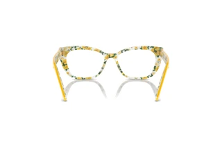 Vista posterior Dolce & Gabbana DX3357 (3443)