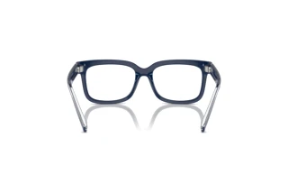 Vista posterior Dolce & Gabbana DX5002 (3094)